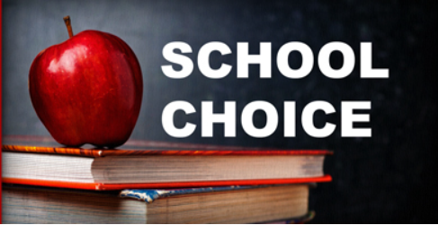 Red apple on stack of books with words "school choice"