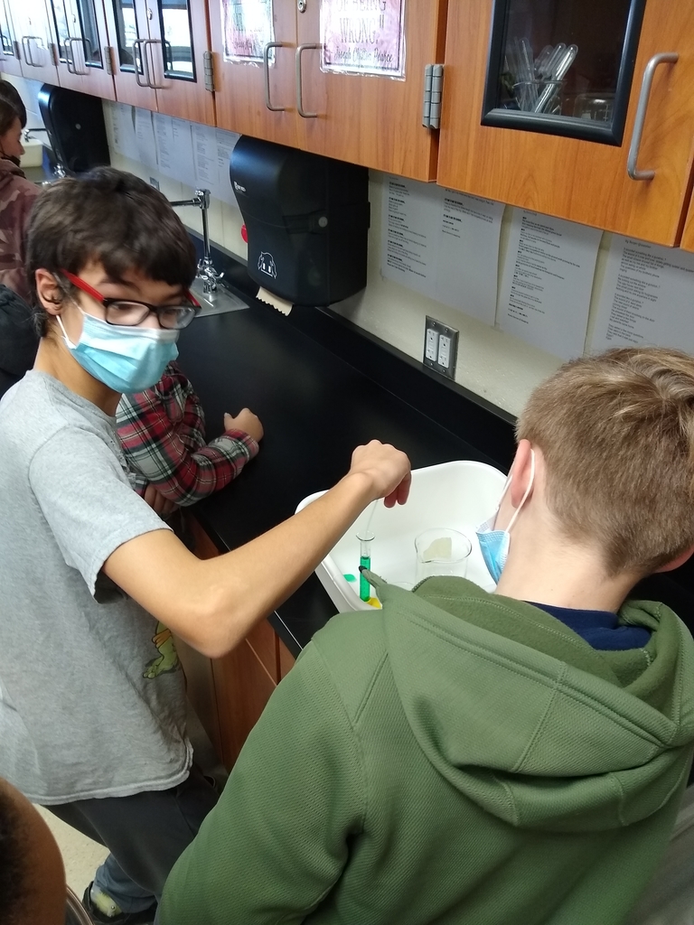 students participating in lab activity