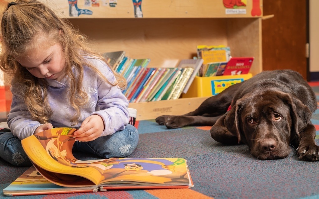 Small child reading with a brown labrador dog lying next to her