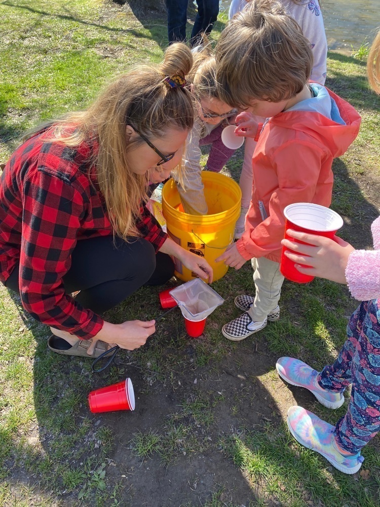 Students pouring water from red cups into a yellow bucket