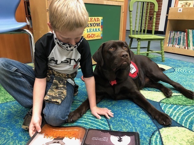 Young boy reading a book with a brown labrador dog sitting next to him