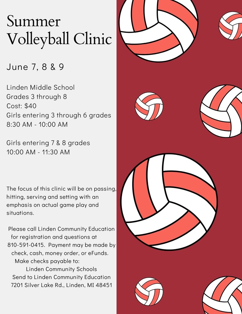 Flyer with volleyballs