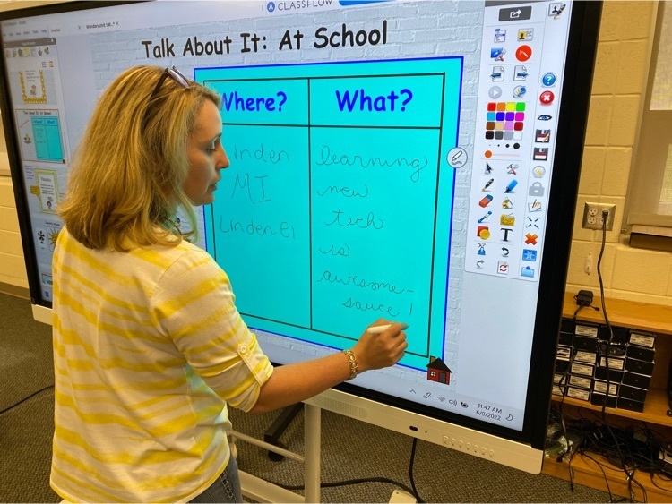 Teacher writing with digital pen on large display panel