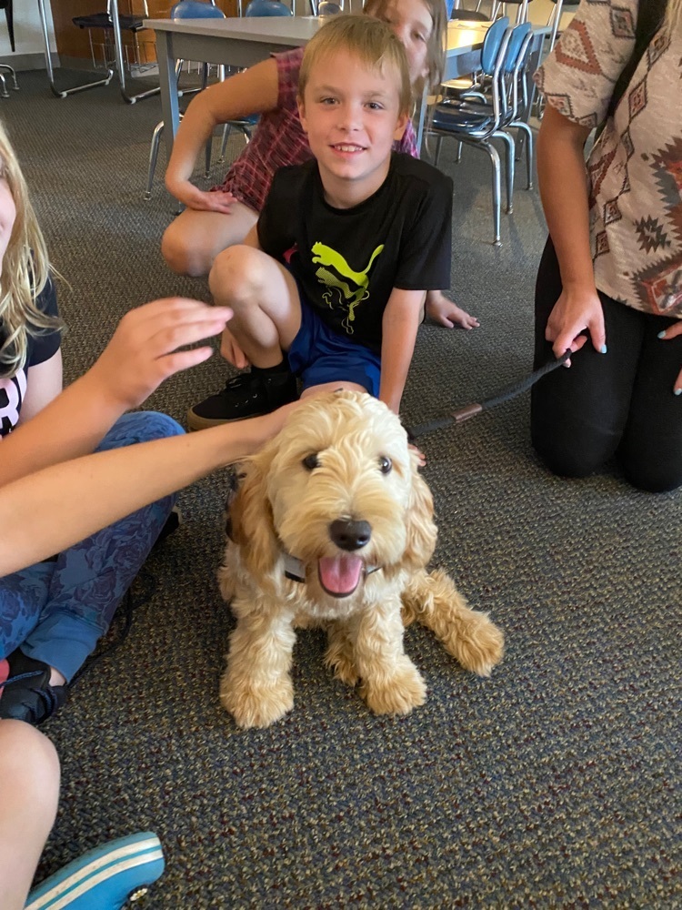 students petting Ruby