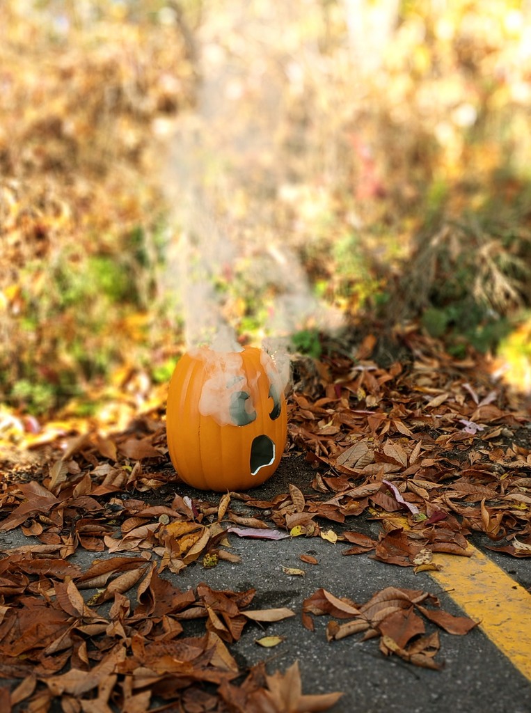Pumpkin, leaves, smoke