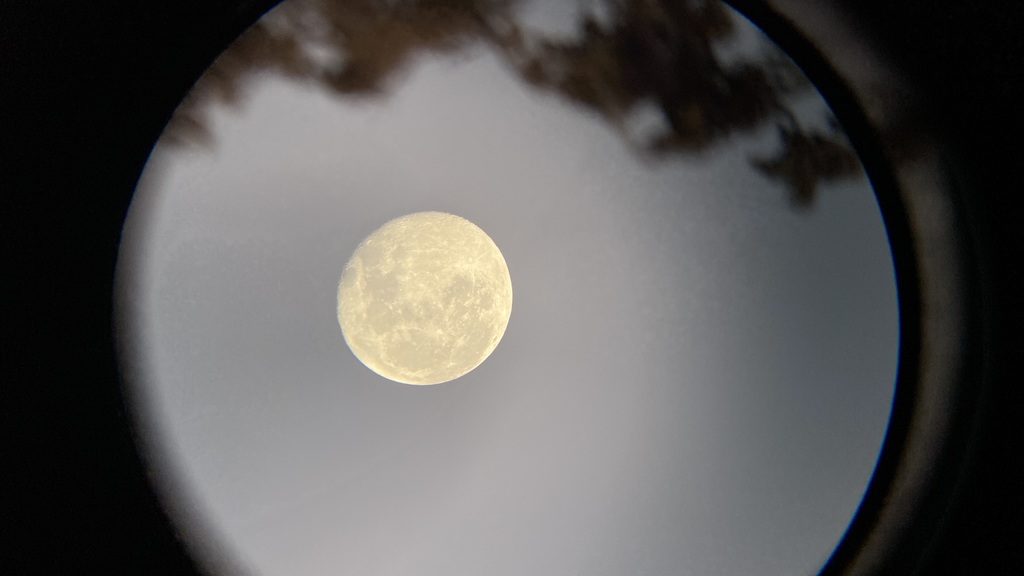 Moon looking through the telescope