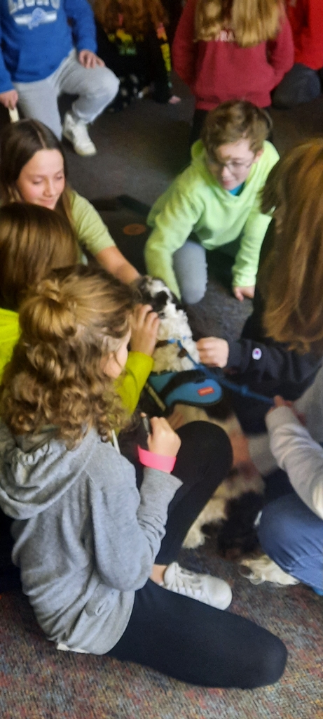 white and brown dog in blue vest surrounded by elementary students that are petting her.