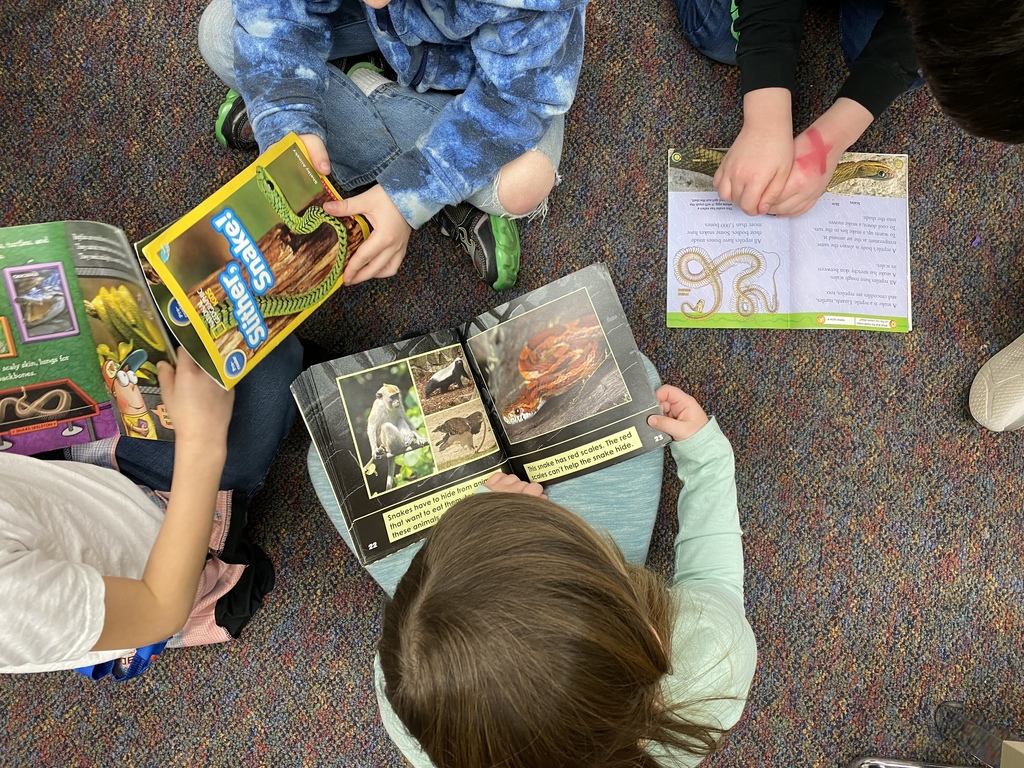 Hyatt 1st graders have started their Nonfiction Book Clubs to become expert animal authors! 