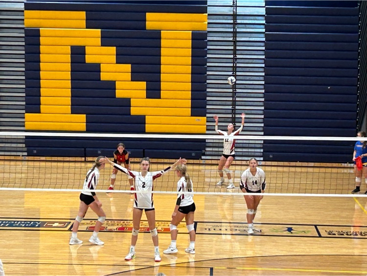 volleyball players in action